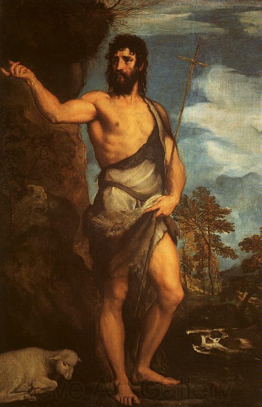  Titian St.John the Baptist Spain oil painting art